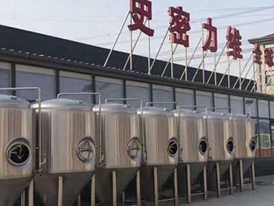 临潭精酿啤酒设备厂—如何判断精酿啤酒设备的密封件需要更换？